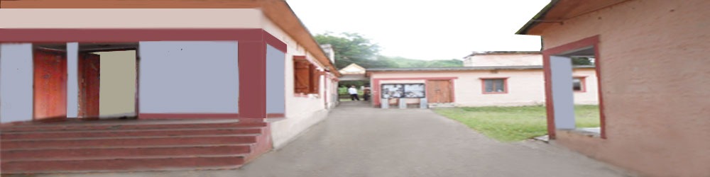 NSS Image